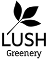LUSH Greenery : Artificial Plants