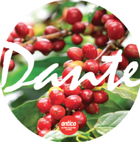 Dante Coffee Beans 1Kg Bag